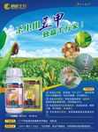精诺五甲 玉米、棉花篇