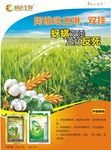 双挂
