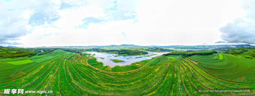 湿地航拍风景图