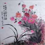 虞美人兰花