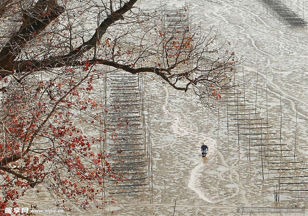 福建风光 烟雨