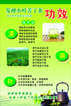 茶
