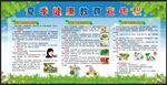 夏季健康教育宣传栏
