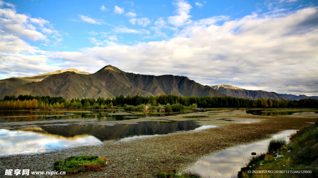 风景