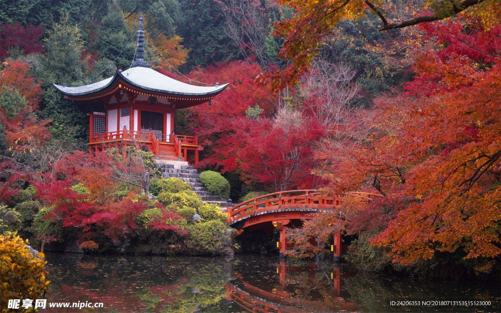 风景