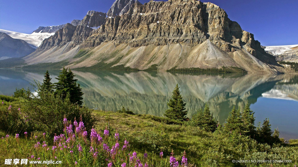 风景