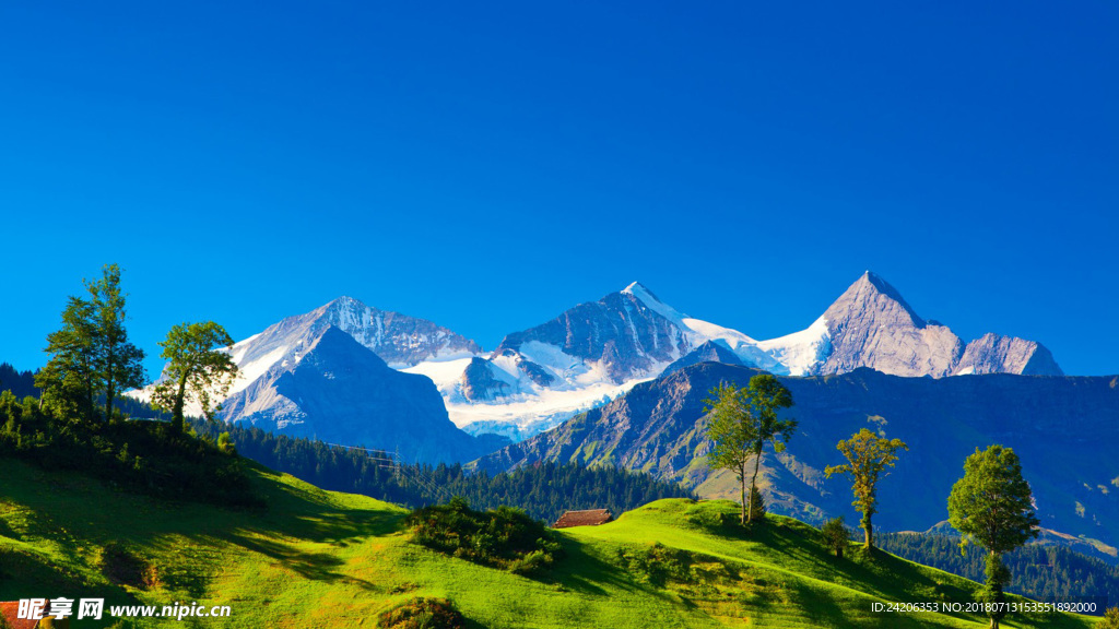 风景