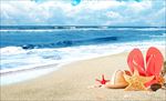 夏日沙滩