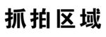 抓拍区域