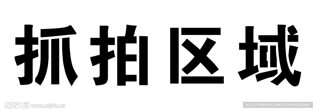 抓拍区域