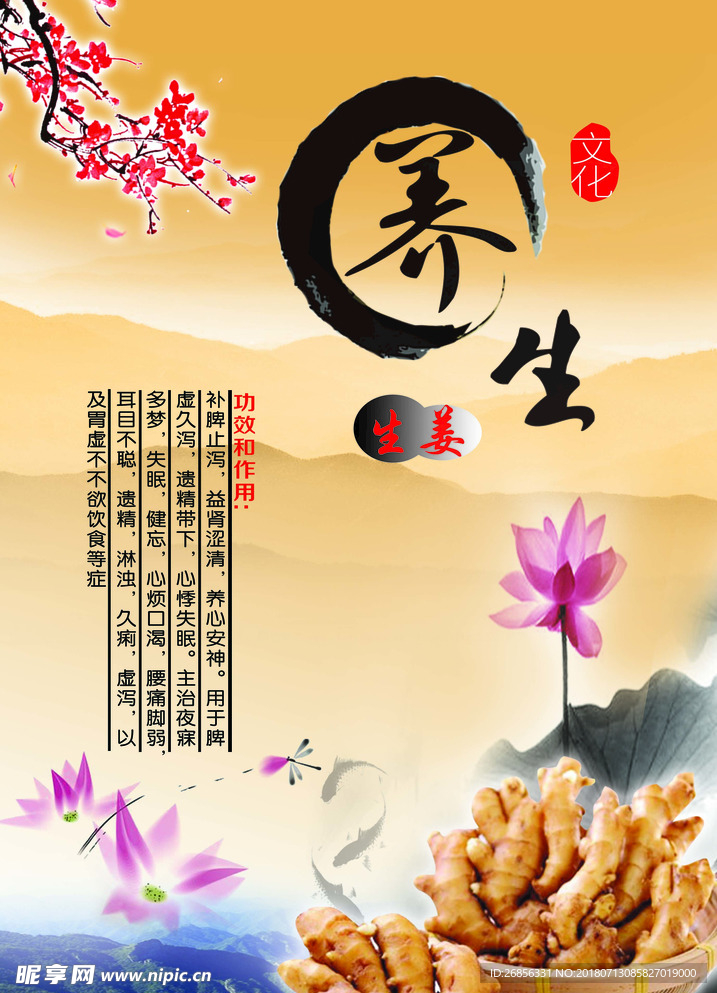 中药养生  药文化
