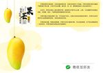 泰芒