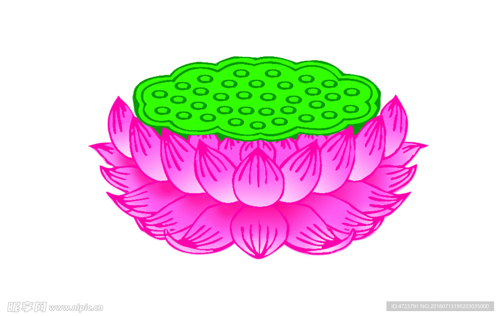 莲花