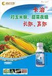 卡治彩页