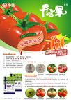 开心果 西红柿.