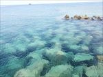海