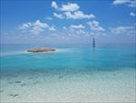 海