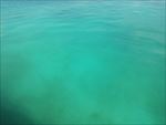 海水