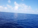 海