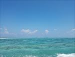 海