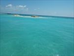 海