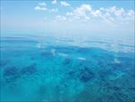 海底世界