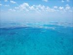海底世界