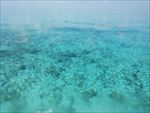 海底世界