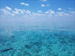 海底世界
