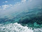 海底世界