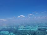 海底世界