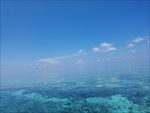 海底世界