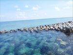 海景