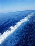大海