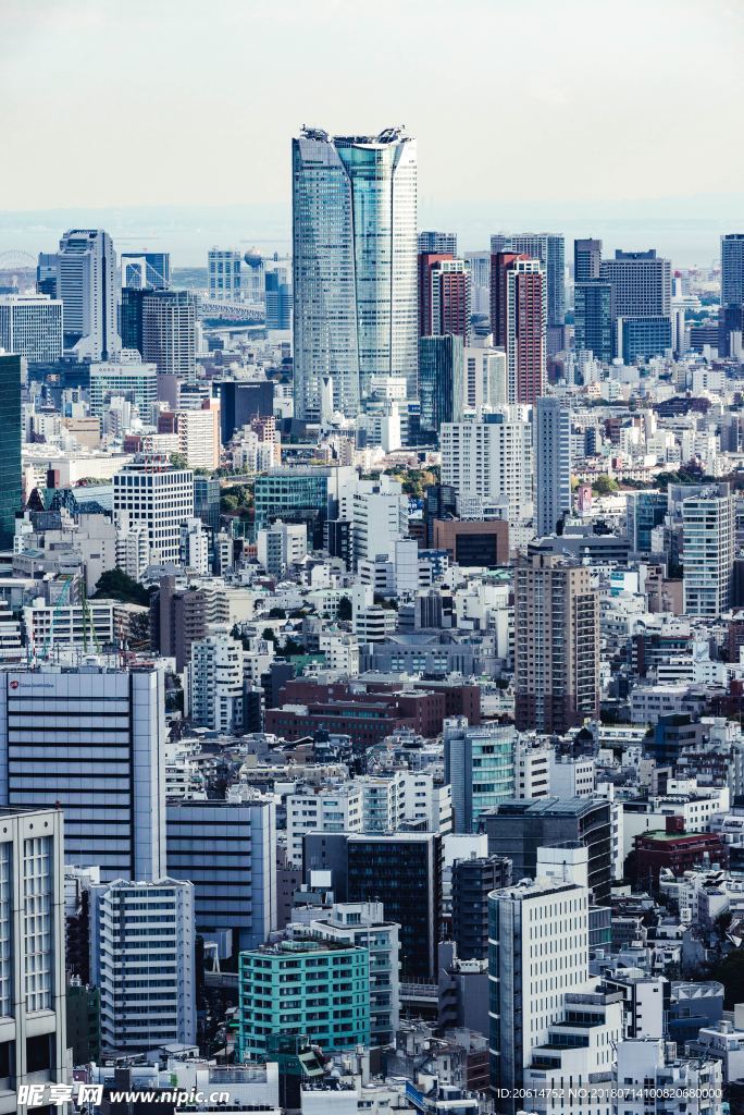 林立的城市高楼
