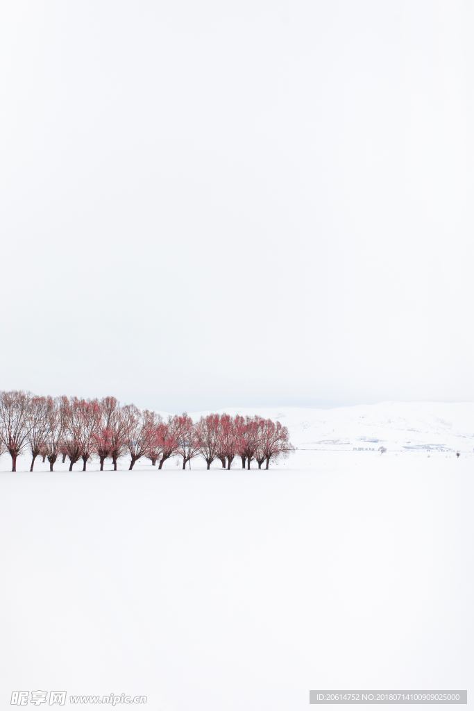 茫茫大雪