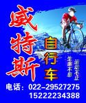 威特斯自行车