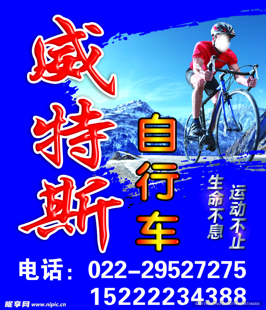 威特斯自行车