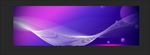 紫色banner
