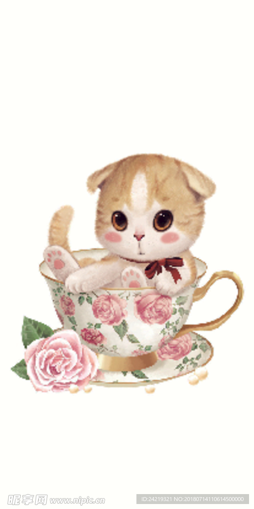 茶杯小猫