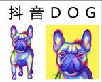 抖音 DOG