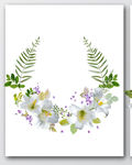 花边底纹图片