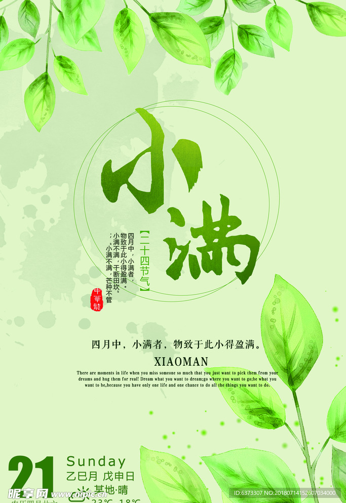 二十四节气 小满 绿色 小清新