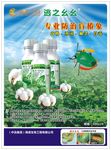 逃之幺幺彩页