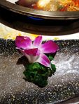 丹花 花朵 一朵花 花瓣