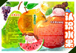 认识水果小报