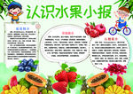 认识水果小报