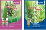 高效氯氟氰菊酯及功夫