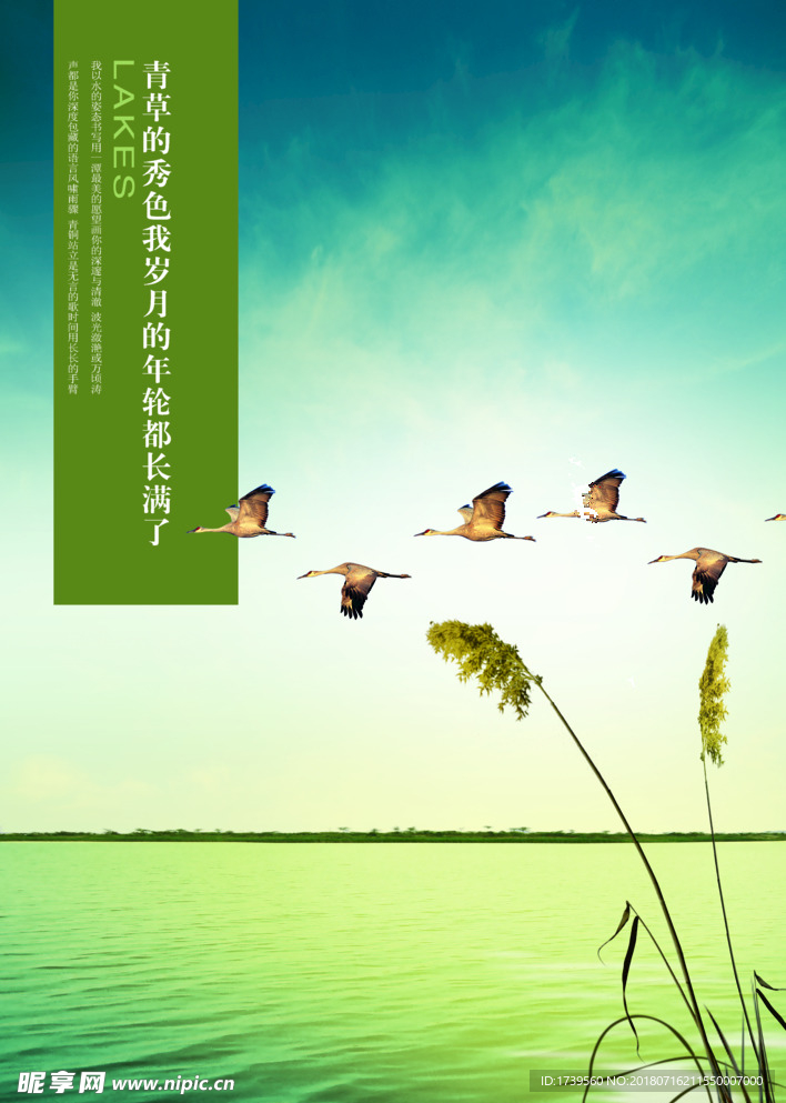 地产主形象