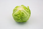 卷心菜